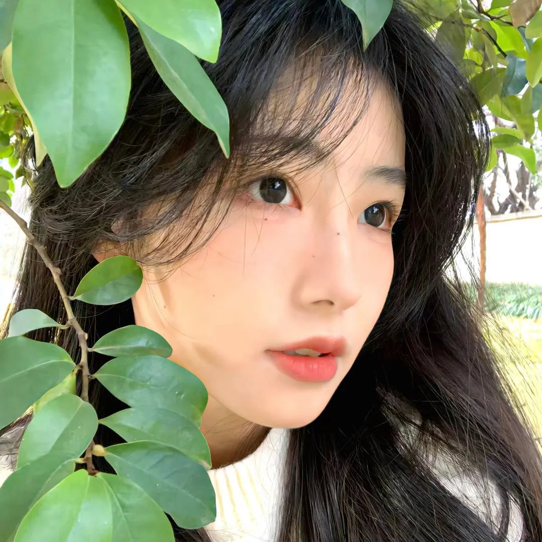 美国骗局 在线观看